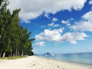 Scenic view of beach against sky