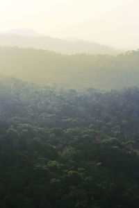 High angle view of trees against sky