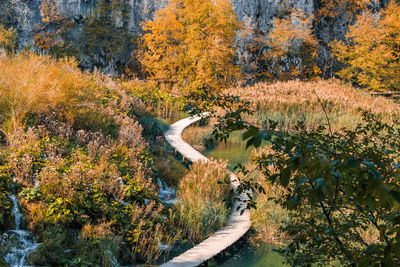 Wooden s-shaped path in plitvice lakes national park in croatia in autumn