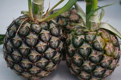 Full frame shot of pineapple on white background