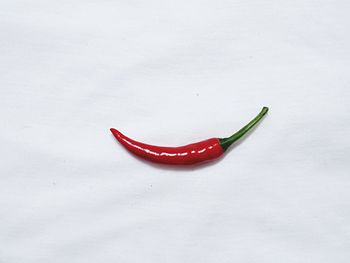 High angle view of red chili pepper against white background