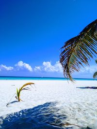 Scenic view of sea against blue sky