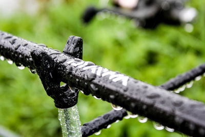 Close-up of water on tree