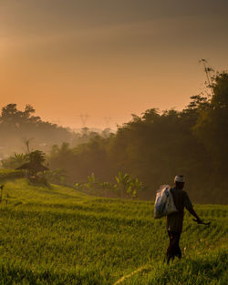 Rear view of man on field against sky during sunset