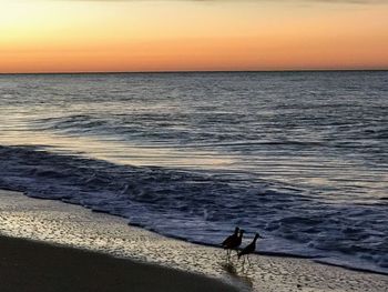 Silhouette man on beach against sky during sunset