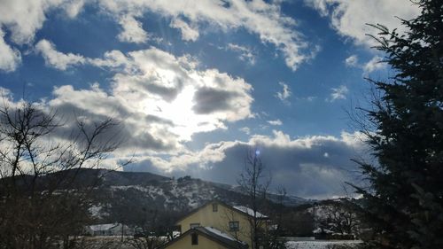 Houses and trees against sky