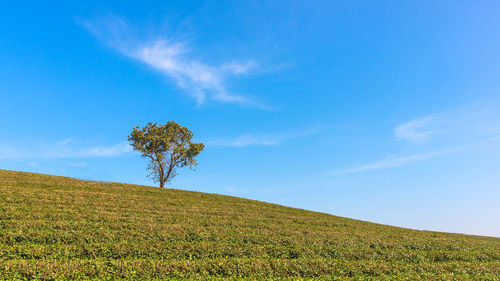 Scenic view of land against blue sky