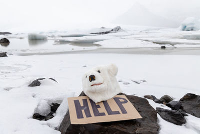 Polar bear mask on a glacier with a message to humanity help