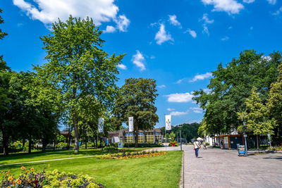 Trees in park against blue sky