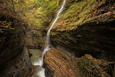 Waterfall at forest