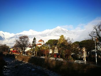 Trees by mountains against sky