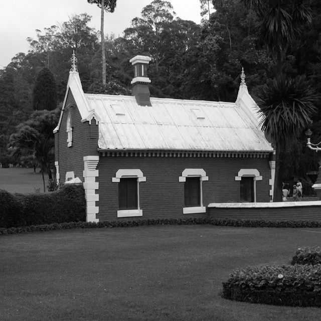 architecture, building exterior, built structure, tree, religion, place of worship, church, spirituality, house, clear sky, day, outdoors, sky, facade, no people, growth, grass, sunlight