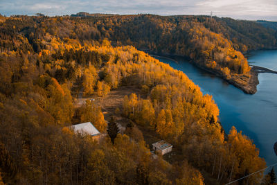 High angle view of trees during autumn