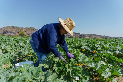 Portrait of woman standing on field against clear sky