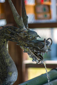 Close-up of a sculpture