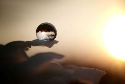 Close-up of hand holding water against sky during sunset