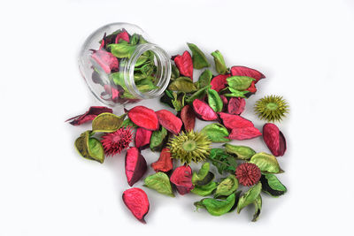 High angle view of potted plant against white background