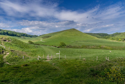 Scenic view of landscape against sky