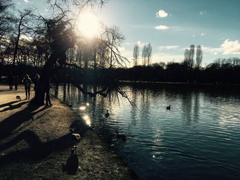 Silhouette of ducks swimming in lake