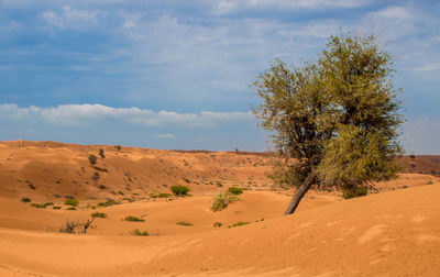 Scenic view of desert against sky