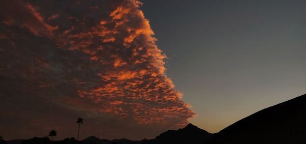 Low angle view of silhouette trees against sky during sunset