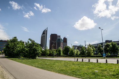 Trees in park with city in background