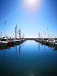 Sailboats moored in marina against blue sky