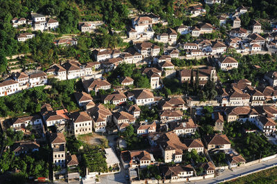 High angle view of trees and buildings in town