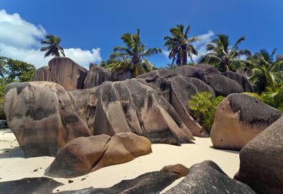 Low angle view of rocks and trees against sky