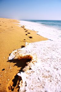 Scenic view of beach against clear sky