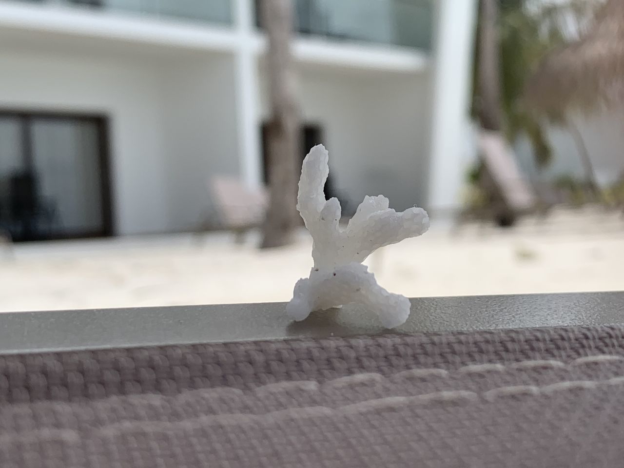 CLOSE-UP OF WHITE SCULPTURE ON TABLE AGAINST BUILDING