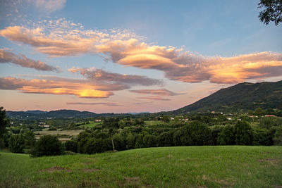 Scenic view of field against sky during sunset