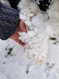 Close-up of woman hand in snow