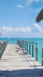 Pier over sea against sky