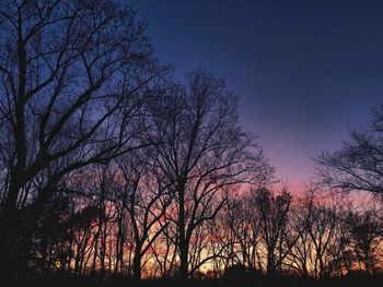 Silhouette bare trees against sky at sunset