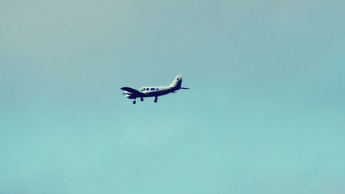 Low angle view of bird flying against clear blue sky