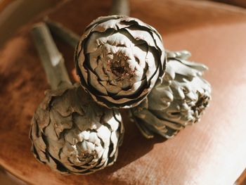 High angle view of artichoke on table