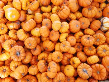 Full frame shot of pumpkins at market