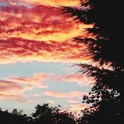 Silhouette of trees against cloudy sky