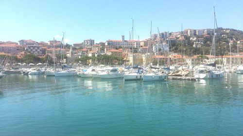 Boats in harbor with city in background