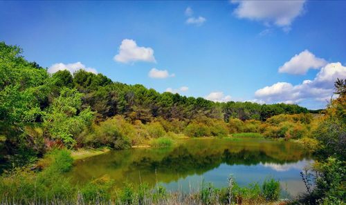 Scenic view of lake and trees against sky