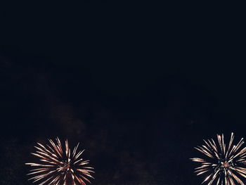 Low angle view of firework display against sky at night