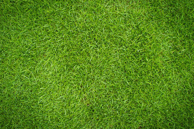 Full frame shot of soccer field