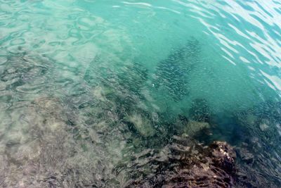 High angle view of sea waves