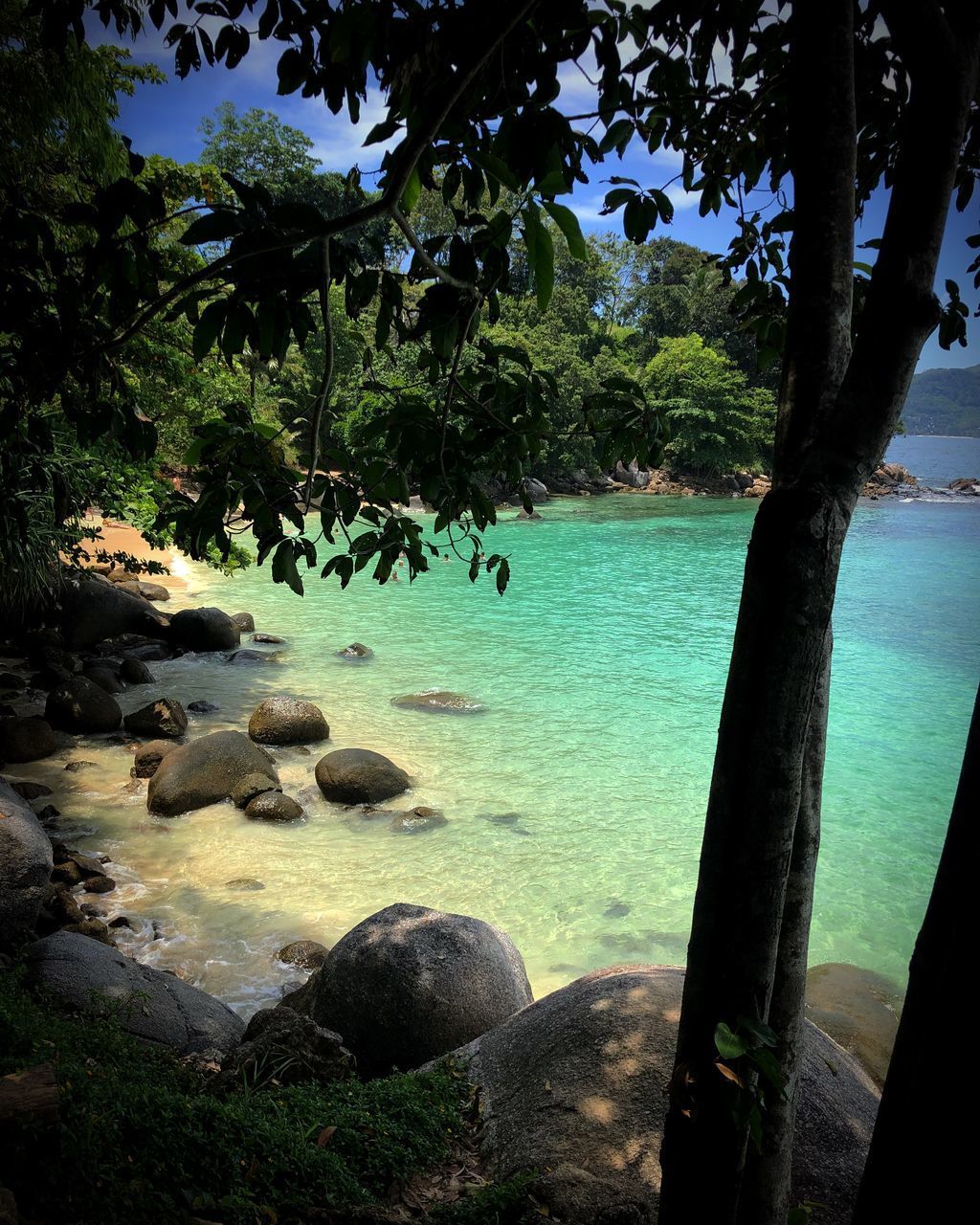 SCENIC VIEW OF BEACH