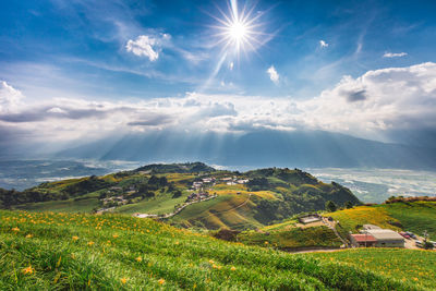 Scenic view of field against sky