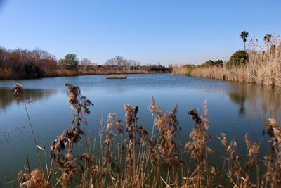 Scenic view of lake against clear sky