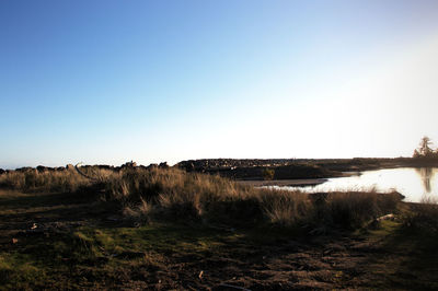 Scenic view of field against clear sky