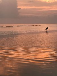 Silhouette person on sea against sky during sunset