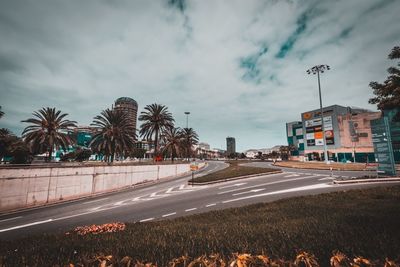 Road by palm trees against sky in city